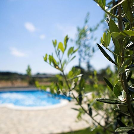 Marceta - Apartments & Rooms With Swimming Pool Fažana Exterior foto